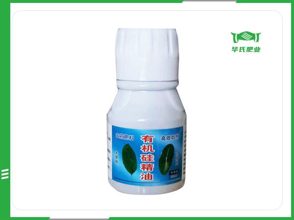 有机硅精油