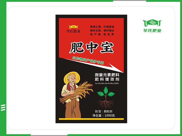 肥中宝