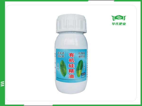 有机硅精油