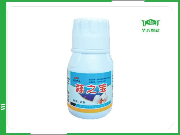 蒜之宝
